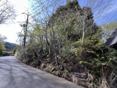 土地約660平米(199.65坪)・両面道路・自然豊かな住宅地